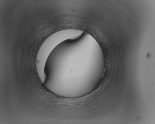 X0000094360033200711241947