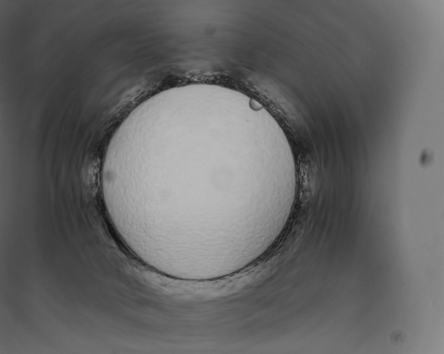 X0000094360034200711241947