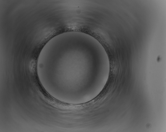 X0000094360036200711241947