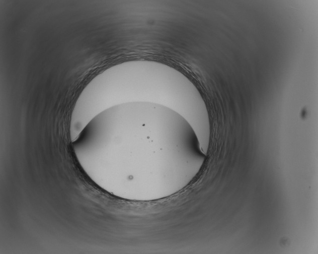 X0000094360037200711241947