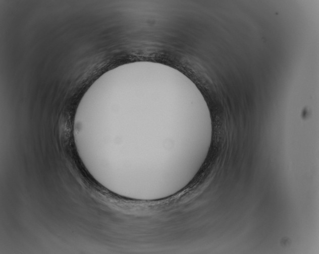 X0000094360040200711241947