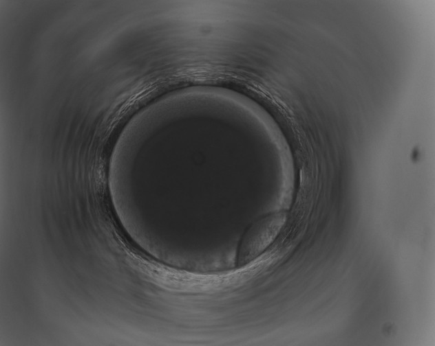 X0000094360048200711241947