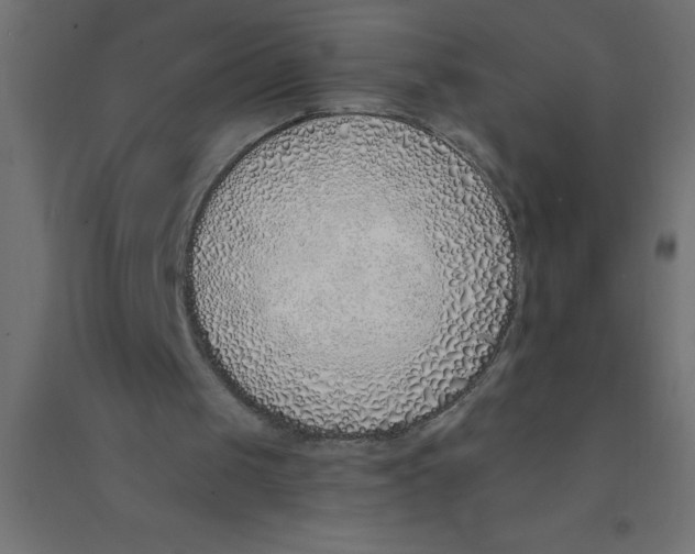 X0000094360049200711241946