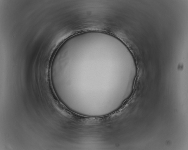 X0000094360050200711241946