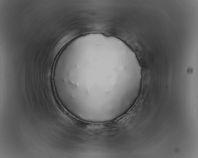 X0000094360051200711241946