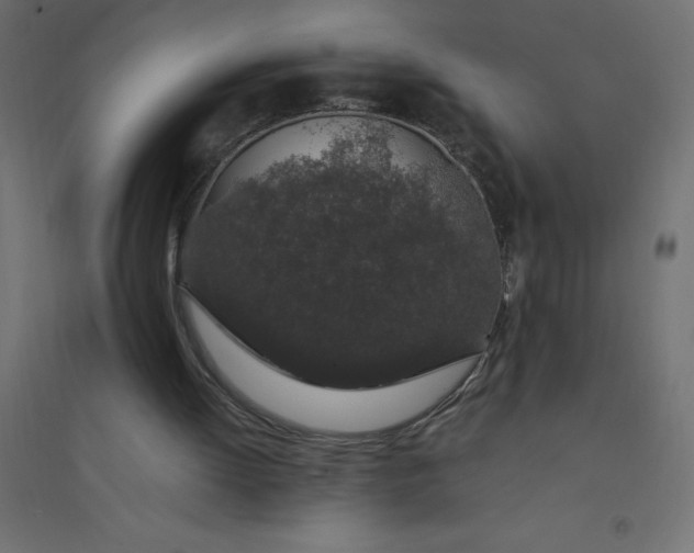 X0000094360052200711241946