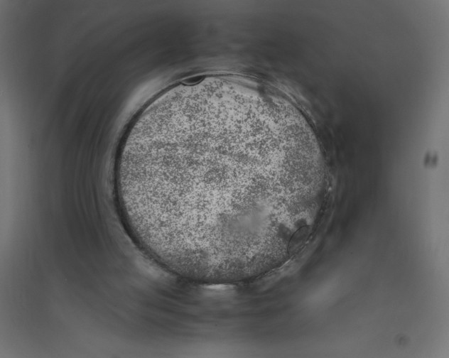 X0000094360053200711241946