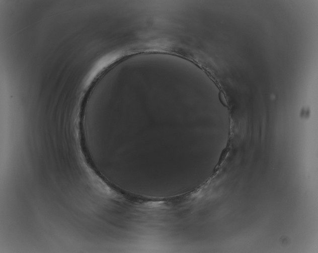 X0000094360054200711241946
