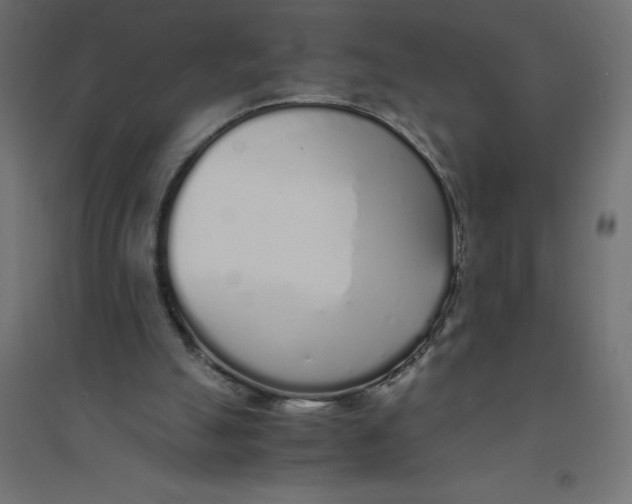 X0000094360055200711241946