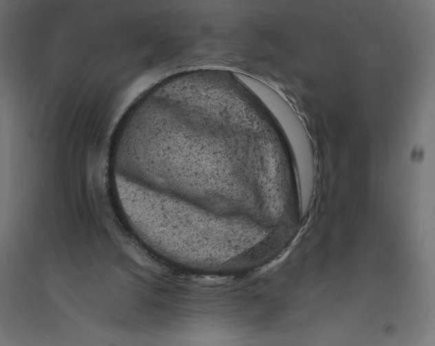 X0000094360056200711241946