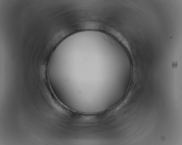 X0000094360057200711241946