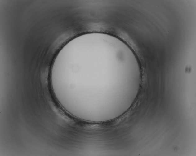 X0000094360058200711241946