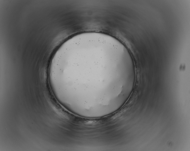 X0000094360059200711241946