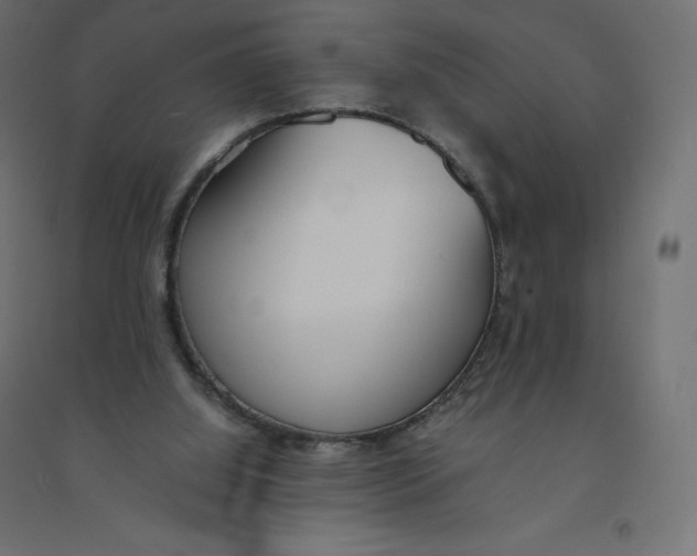 X0000094360060200711241946