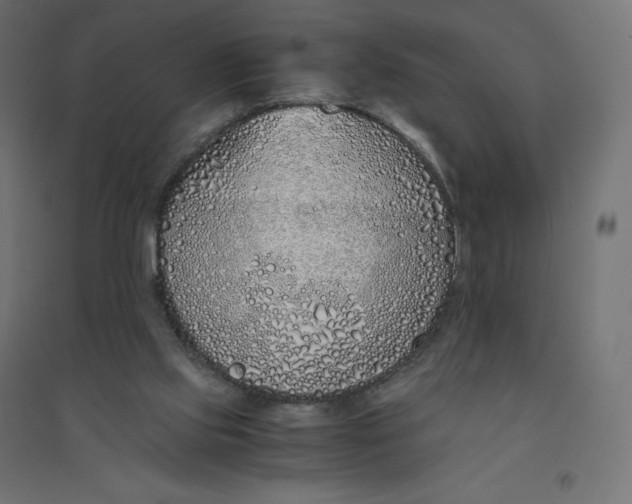 X0000094360061200711241946
