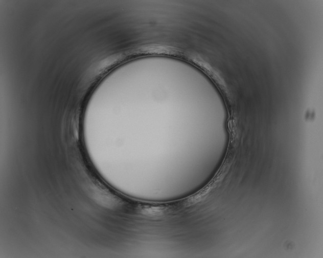 X0000094360062200711241946