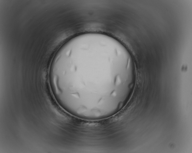 X0000094360063200711241946