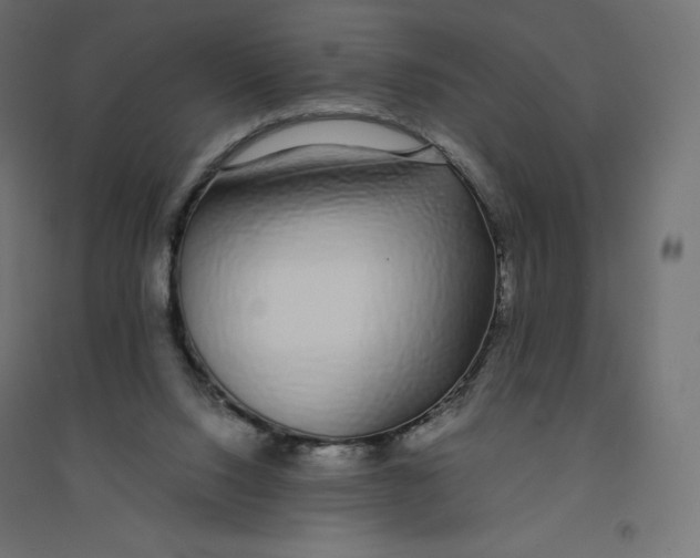 X0000094360064200711241946