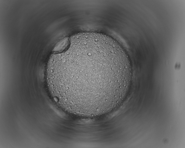 X0000094360065200711241946
