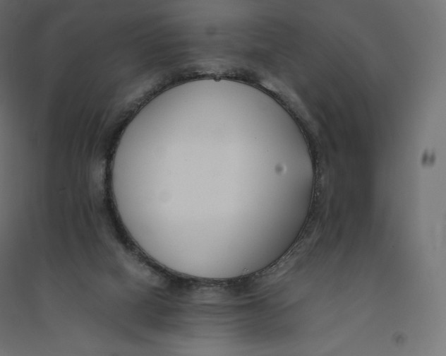 X0000094360066200711241946