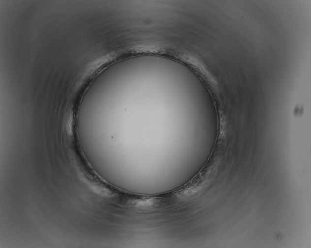 X0000094360068200711241946