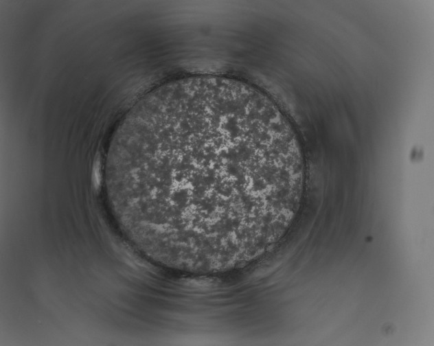X0000094360069200711241946