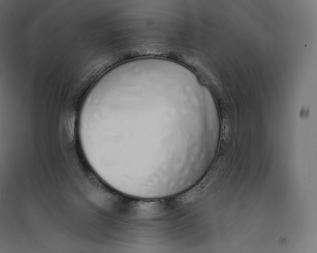 X0000094360070200711241946