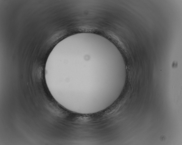 X0000094360071200711241946