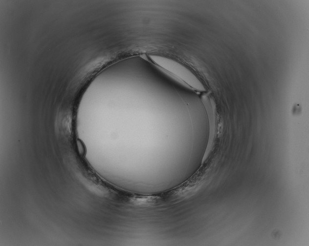 X0000094360072200711241946