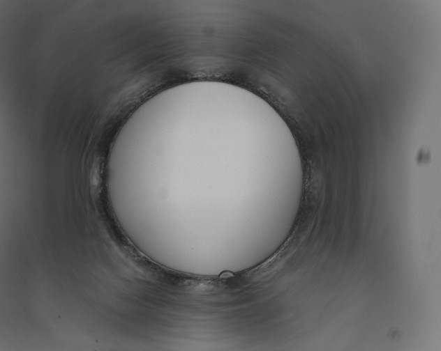 X0000094360074200711241946