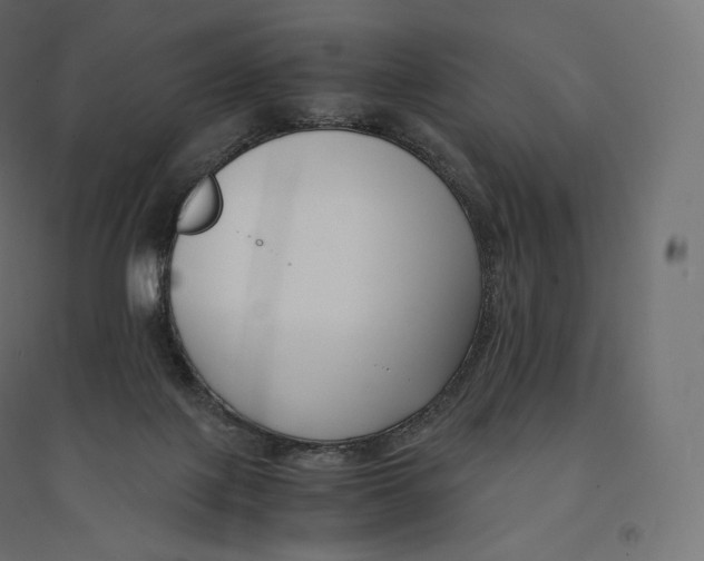 X0000094360075200711241946