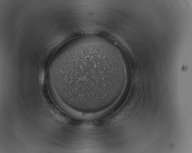 X0000094360076200711241947