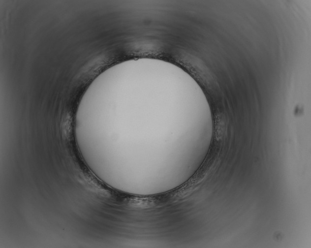 X0000094360077200711241947
