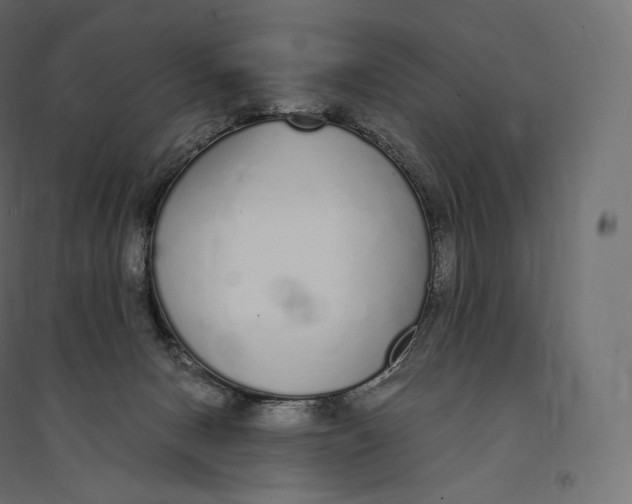X0000094360078200711241947