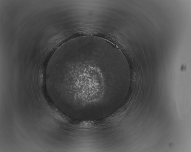 X0000094360080200711241947