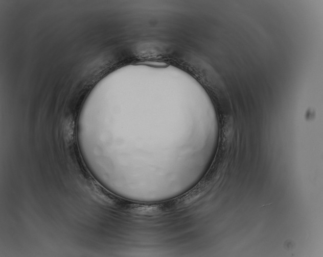 X0000094360081200711241947