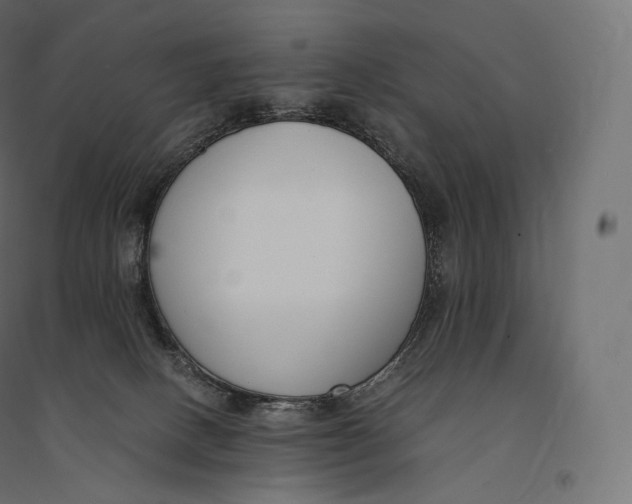 X0000094360082200711241947