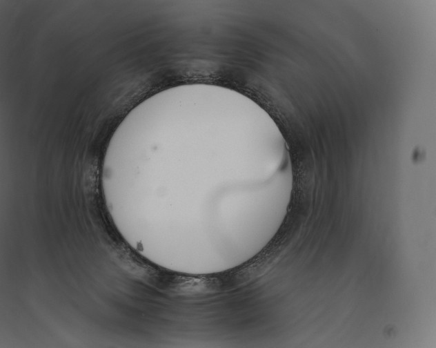X0000094360083200711241947