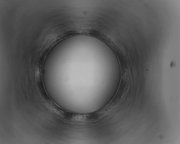 X0000094360084200711241947