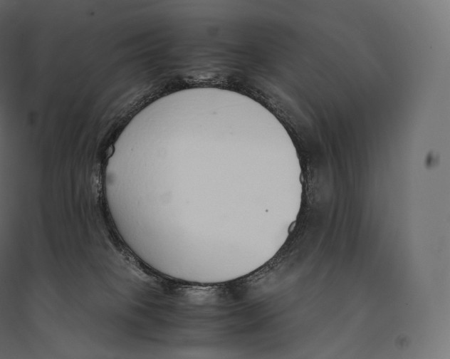 X0000094360085200711241947