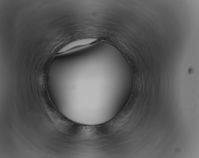 X0000094360088200711241947