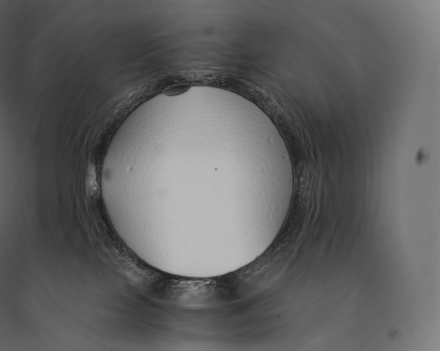 X0000094360089200711241947