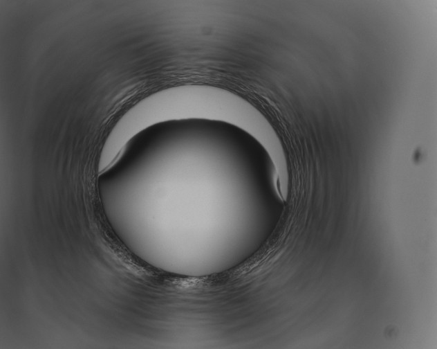 X0000094360092200711241947