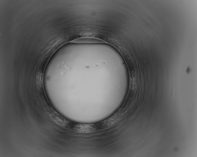 X0000094360093200711241947
