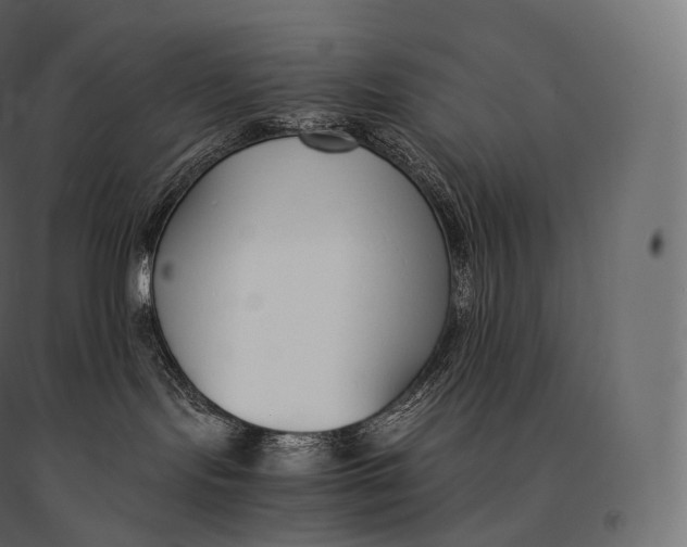 X0000094360095200711241947