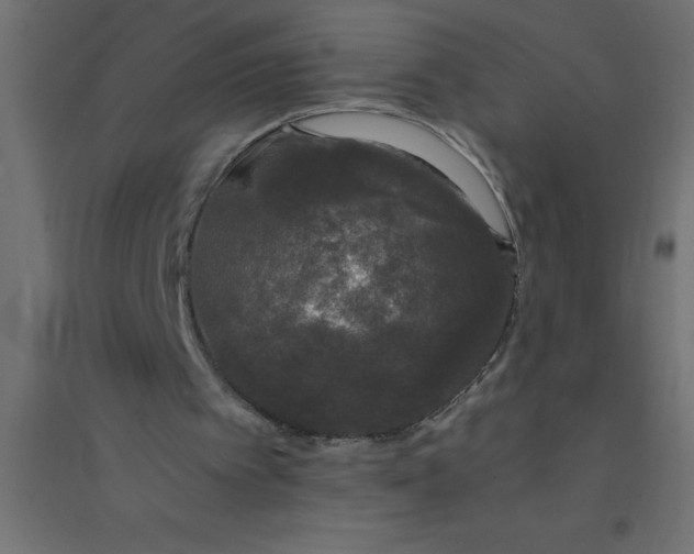 X0000094360097200711241946