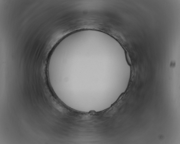 X0000094360098200711241946