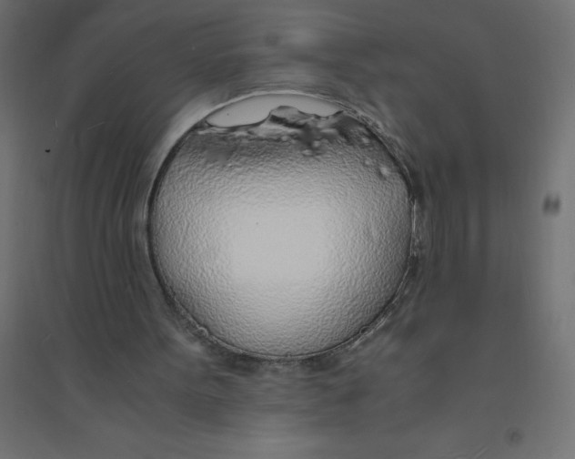 X0000094360099200711241946