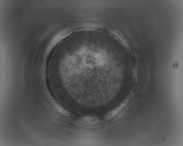 X0000094360101200711241946