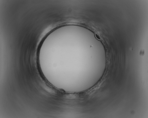 X0000094360102200711241946